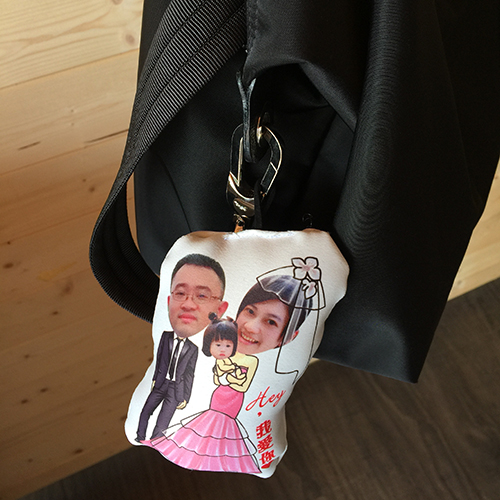 特殊外型抱枕1